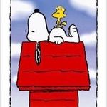 Ken Hartman - @kenh516 - Instagram