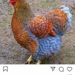 Cole Hauser - @ken_colehauser2201_ - Instagram
