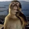Kenhe - @kenhekanha - TikTok