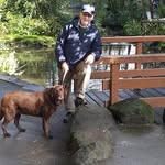 ken healey - @kenhealey61 - Instagram