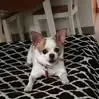 Kenneth Herrick - @kenneth.herrick - TikTok