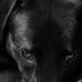 Ken Higgs - Facebook