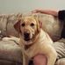 Ken Hodges - Facebook
