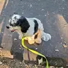 Ken Hodges - @ken.hodges1 - TikTok