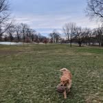 Ken Hodges - @hodges.ken - Instagram