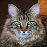Ken Holman - @kaholm63 - Instagram