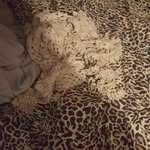 Ken Hook - @kenhook969 - Instagram