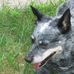 Ken Huffman - Facebook