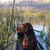 Ken Humphrey - Facebook