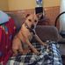Ken Hurley - Facebook
