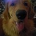 Ken Hurley - Facebook