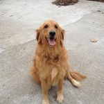 Ken Hurley - @ken.hurley.39 - Instagram