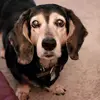 Ken Hurst - @ken.hurst4 - TikTok