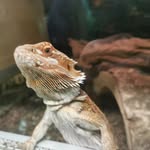 Ken hyland - @hyland.ken - Instagram