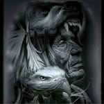 Ken Jamieson - @apacheontheloose - Instagram