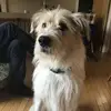 kenjamieson1954 - @kenjamieson1954 - TikTok