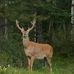 Ken Jarvis - Facebook