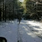 Ken Jeffries - @bond16th - Instagram