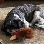 Ken Jobe - @jobe6087 - Instagram