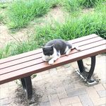 ken_kato - @vanillamonacajumbo_ - Instagram