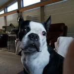 @kenk.essler - Instagram