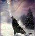 Ken Knoll - Facebook