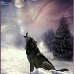 Ken Knoll - @ntimberwolf - Instagram