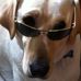 Ken Knoll - Facebook