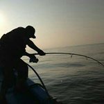 小島 健 - @ken.kojima - Instagram