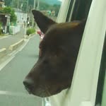 tomoko - @ken.kou.ryu - Instagram