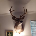 Kenneth Lacey - @kenlacy0112 - Instagram