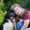 shiba_akita - @kennellargeheart - TikTok