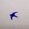 kenlauber213 - @kenlauber213 - TikTok