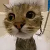 Kenlay - @kenlayy - TikTok