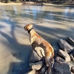 Ken Leahy - @kbdmjbc4 - Instagram