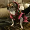 Ken Le Clair - @ken.le.clair - TikTok