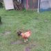Ken Lee - Facebook