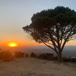 Ken Lewis - @ken_lewis_ - Instagram