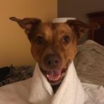 Ken Liles - Facebook