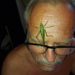 Kennet Lindberg - @lindbergkennet - Instagram
