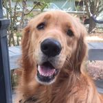 Ken Lovell - @kenlovell98 - Instagram