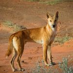 Ken Lovell - @ken.lovell.54 - Instagram