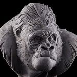 Ken Lowell - @kenlowell - Instagram