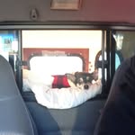 Ken Lowell - @lowell601 - Instagram
