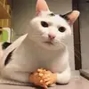 jadi gini le - @kenlutzz - TikTok
