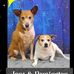 Ken Lutz - Facebook
