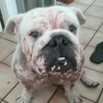 Ken Lyons - @klyons_elec - Instagram