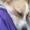 Kenmaa_s - @kenmaa_s - TikTok