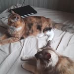 @kenmachan.kuroochi - Instagram