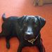 Ken Macmillan - Facebook